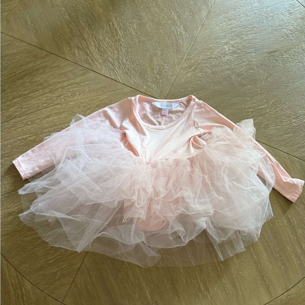 Charming Blush Ballet Dress for Kids